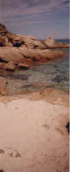 cric.jpg (72250 octets)